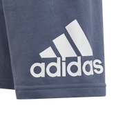 Essentials Logo Tee and Short Set-6